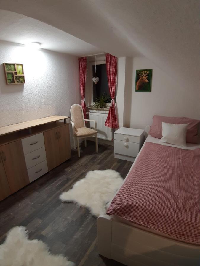 Pension Harzbikerharz Bad Lauterberg Exteriér fotografie